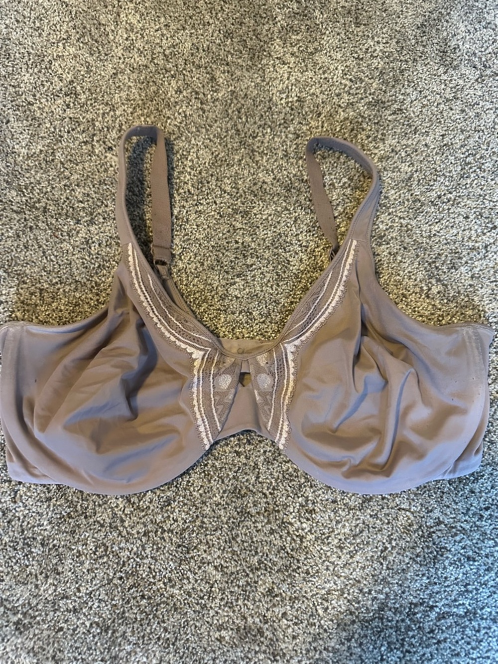 Olga Full Coverage Lace-Trim Bra in Taupe